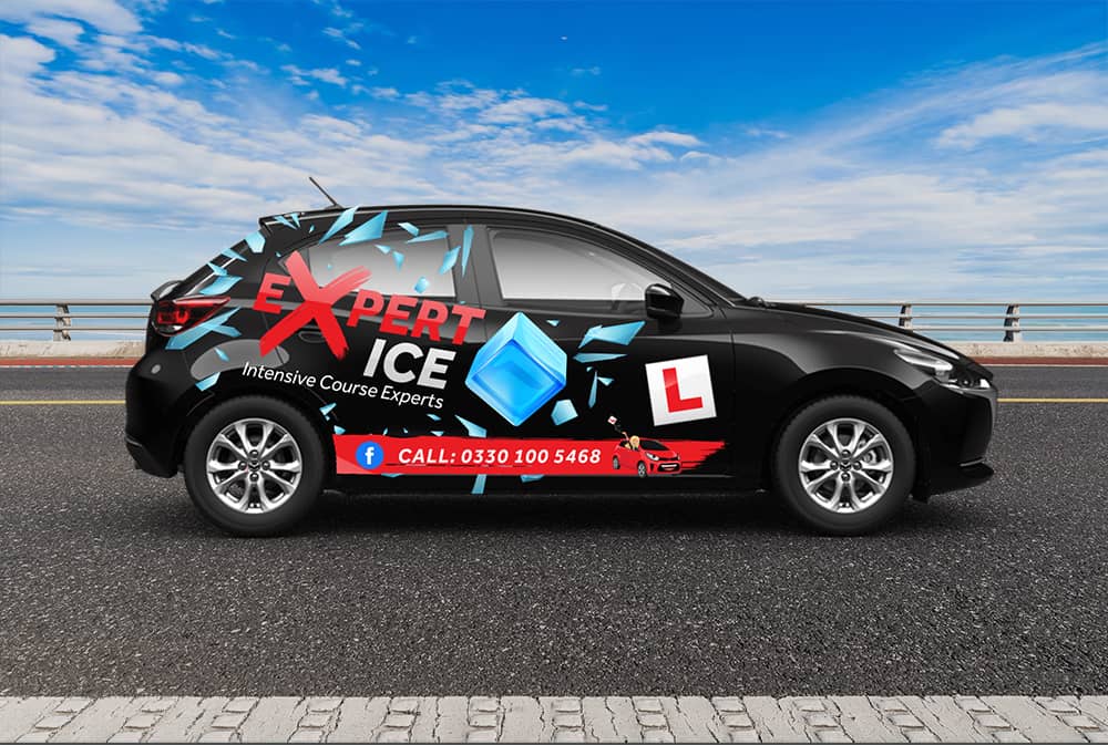 Expert ice